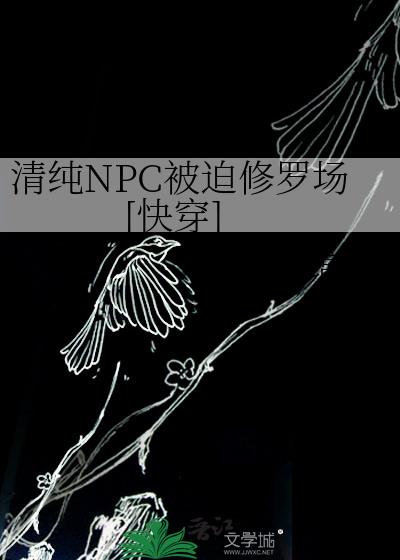 崿NPC޳[촩]